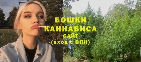 стаф Дмитровск