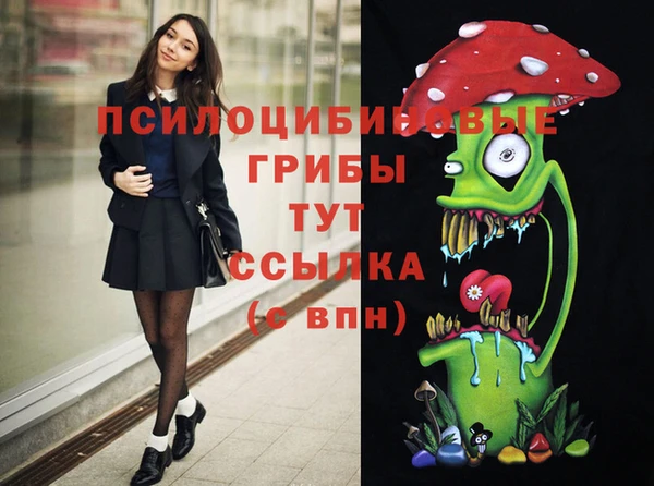 стаф Дмитровск