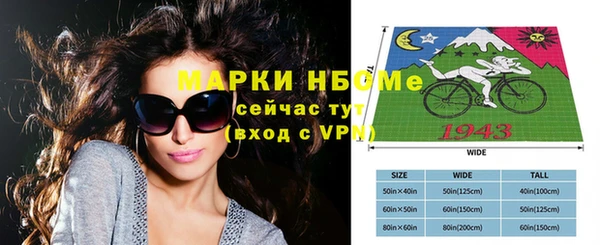 стаф Дмитровск