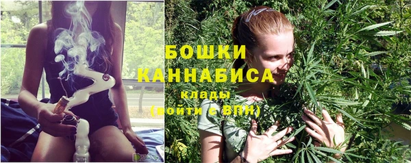 дживик Дмитров