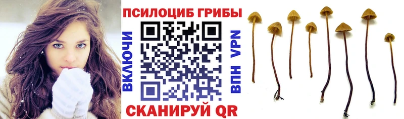 omg tor  Светлый  Галлюциногенные грибы ЛСД 