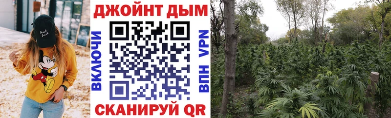 Конопля Amnesia  hydra как зайти  Светлый 